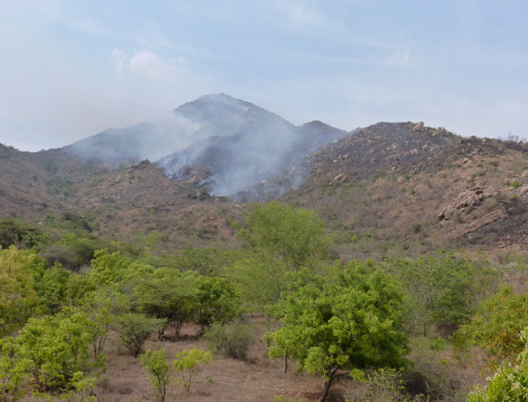 Fire on the Hill early 2000s